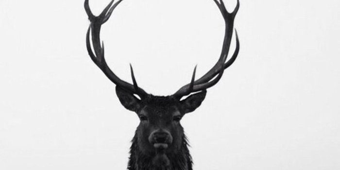 1080x1920 Majestic Download at: http://www.myfavwallpaper.com/2018/01