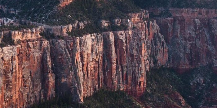 828x1792 The majestic Grand Canyon HD wallpaper download