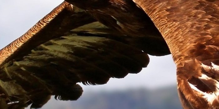 1080x1920 1080x1920 free iphone wallpapers | My-HD-Wallpapers.com | Page 5