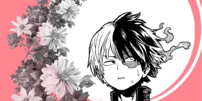 1211x2048 Todoroki Wallpapers | My Hero Academia Amino