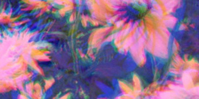 1024x1024 Backgrounds 2018 29 April 2018, Trippy Hippie - Trippy Flowers, Hd
