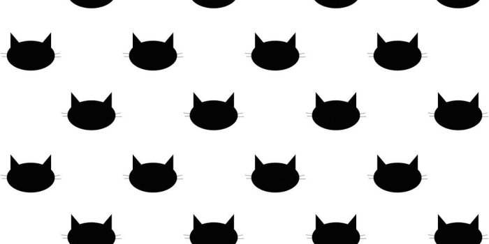 1131x1600 Free digital cat scrapbooking paper - ausdruckbares Geschenkpapier