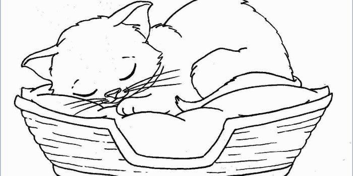 1310x834 Coloring Book : Puppy And Kitten Pages To Print At Cute