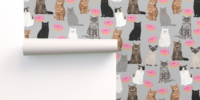 1024x1024 cats and donuts cat kitty kitten on Isobar by petfriendly