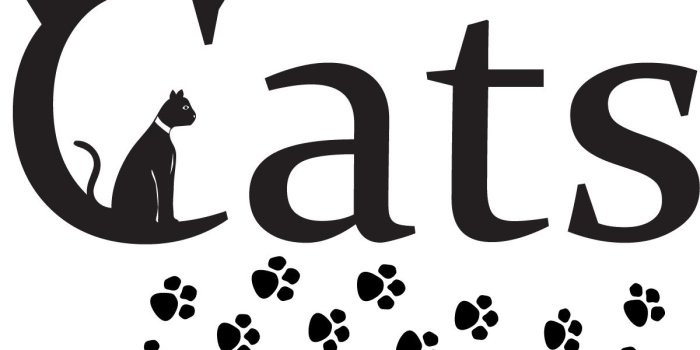 1200x1200 Pictures Of Cat Paw Prints - Cat, Hd Wallpapers & backgrounds