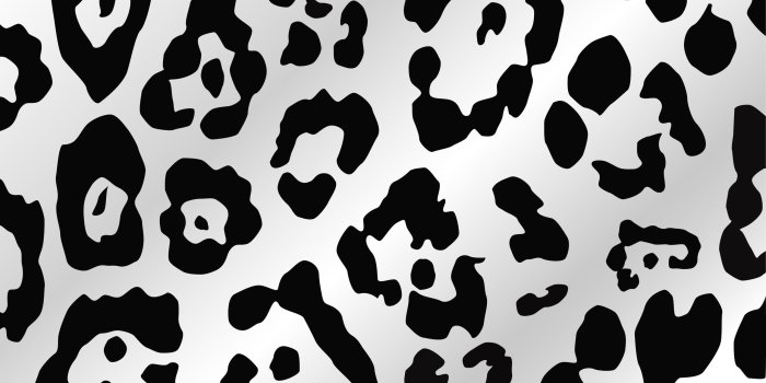 2556x1917 Trendy Cheetah Print Wallpaper