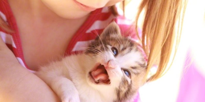 800x1200 Child Holding a Kitten