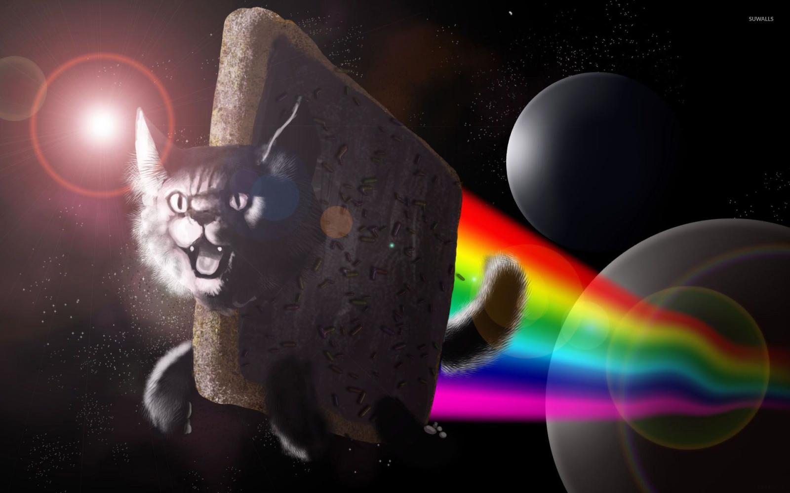 1920x1200 Nyan Cat wallpaper - 522716