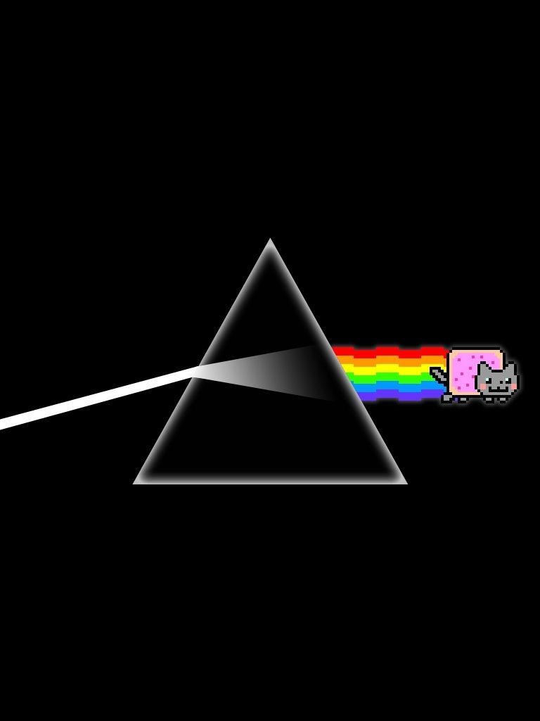 768x1024 Nyan Cat Animated Wallpaper Iphone - Download Popular Nyan Cat