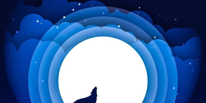 938x1668 Wolf Moon iPhone Wallpapers - Top Free Wolf Moon iPhone