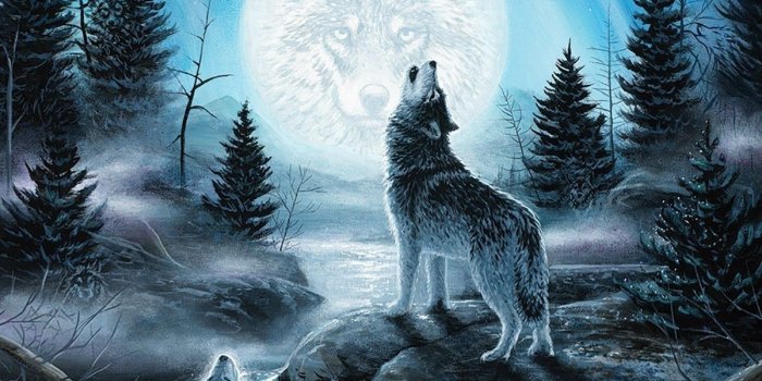 1200x1897 Wolf Howling At The Moon Iphone Wallpaper