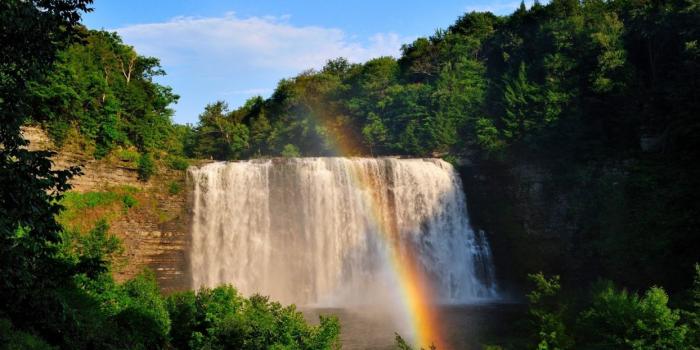 1244x700 Waterfall rainbow trees- wallpaper | 1600x900 | 1111879 | WallpaperUP