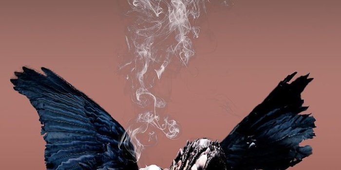 728x1294 HD wallpaper: Hip Hop, Portrait Display, Simple Background, Travis