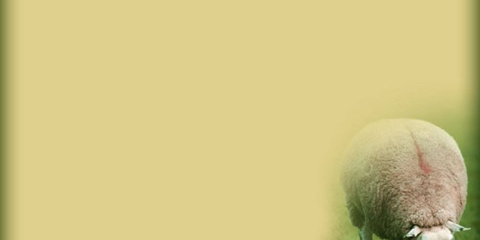 1024x768 PPT CHRISTIAN | Backgrounds, Praying Hands Images and