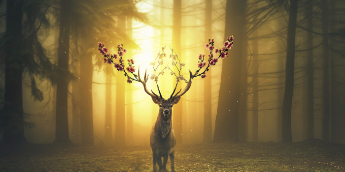 1920x1200 Spring Surreal Wallpapers