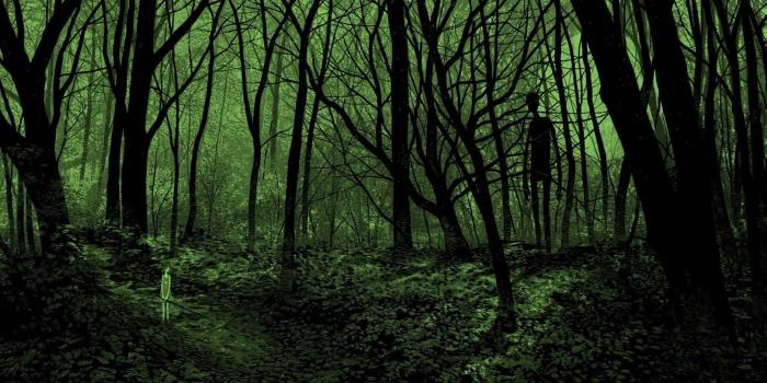 1600x900 Download Wallpapers, Download horror trees figure forest surreal