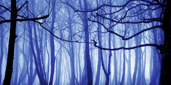 3888x2430 51 Surreal HD Wallpapers | Background Images