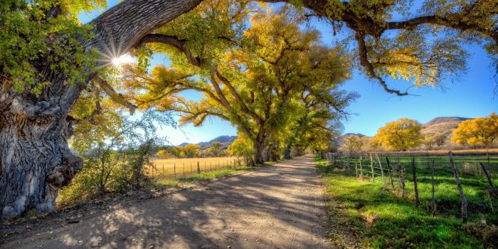 3840x2160 Free download Surreal Autumn View Wallpapers HD Wallpapers