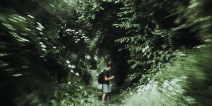 910x1212 HD wallpaper: germany, schwerin, nature, surreal, bokeh, tree