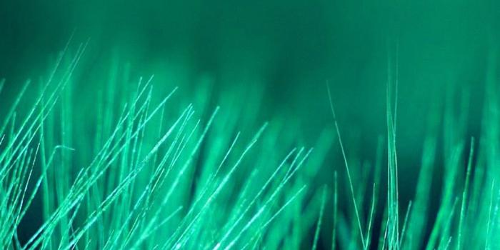 1080x1920 Pretty iPhone Background Fresh Cool Girly Wallpapers for iPhone 70