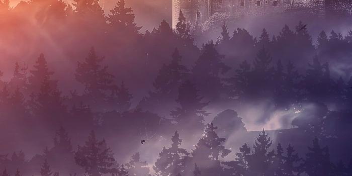 1080x1920 Surreal Forest iPhone Wallpaper HD