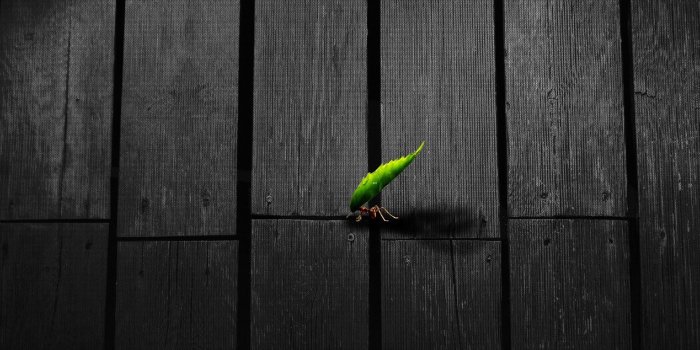 1920x1200 Free Wallpaper - Free Art wallpaper - 3D desktop wallpapers 5