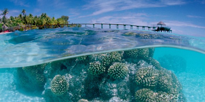 1920x1200 Desktop Backgrounds wallpaper | 1920x1200 | #35949