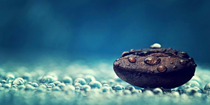 1920x1200 HD Wallpaper for Desktop Background ·① WallpaperTag