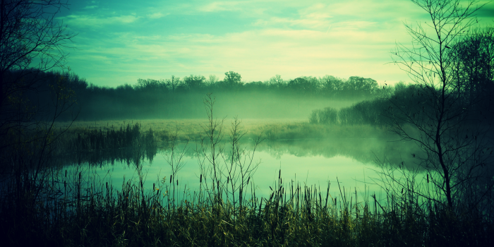 1920x1200 Free download Desktop Backgrounds wallpaper 1920x1200 35953