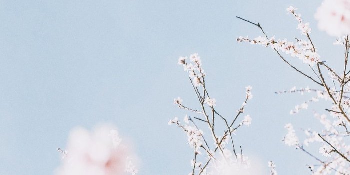 1082x1920 40+] Pastel Aesthetic Wallpaper on WallpaperSafari