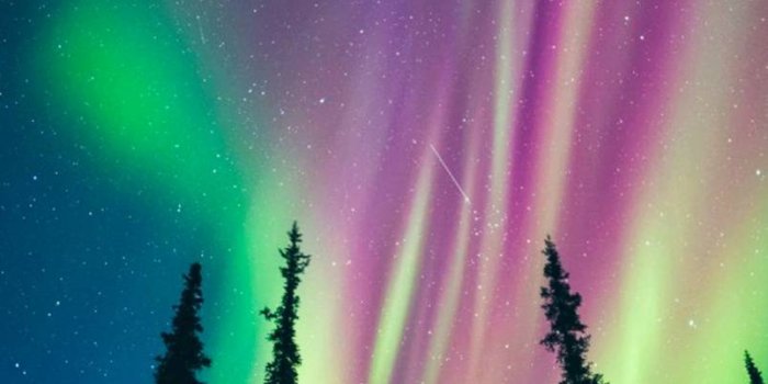803x1280 Northern lights wallpaper by ICExemplary - e5 - Free on ZEDGE™