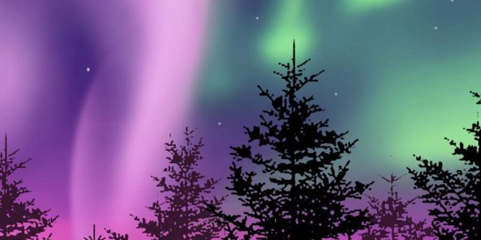 900x1600 Winter Northern Lights iPhone Wallpaper | Northern lights