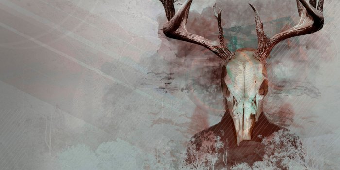 2560x1440 Animal Skull Wallpapers - Top Free Animal Skull Backgrounds