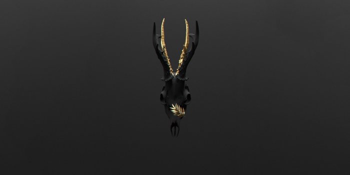 2666x1500 Black antler, deer, skull HD wallpaper | Wallpaper Flare