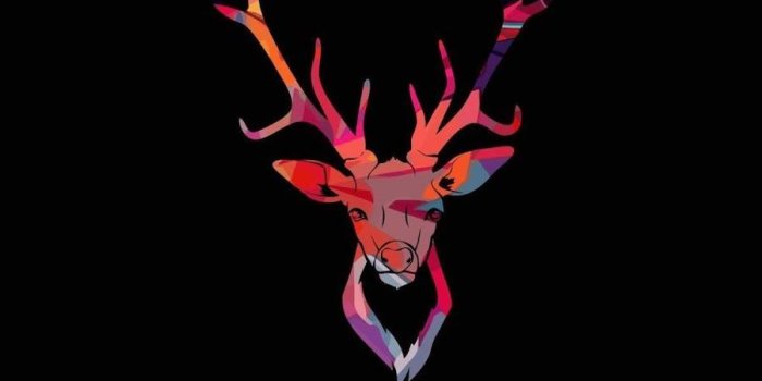 900x1600 Best (200+) Wallpapers For Android and iOS | Deer wallpaper