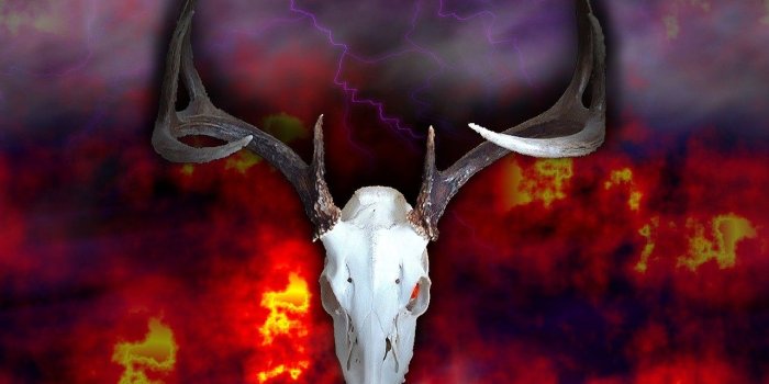 1280x1024 Deer: Spirit Deer Skull Fantasy Animals Whitetail Wallpaper
