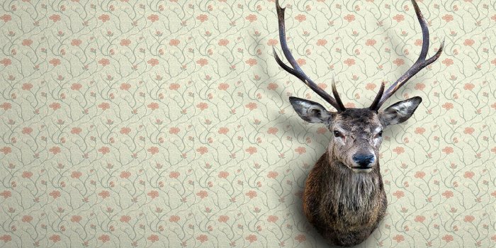 1680x1050 44+] Wallpaper Skull Heads on WallpaperSafari