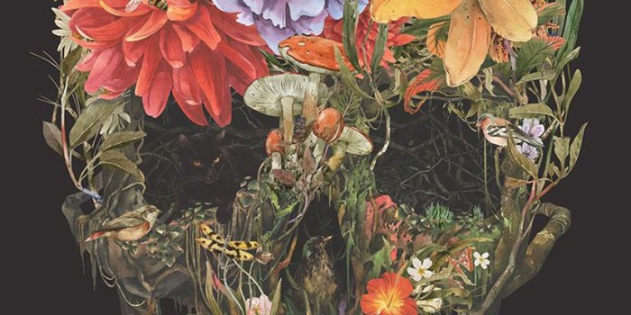 828x1792 Iphone Xr Wallpaper For Skull Flower Dark Painting - Flower Skull