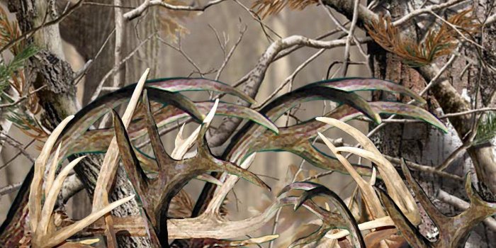 1600x884 Best 55+ Antler Wallpaper on HipWallpaper | Antler Wallpaper, Deer