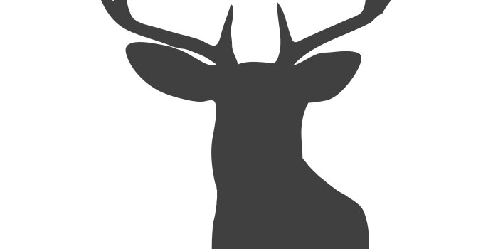 5000x5000 Deer head silhouette - Download Free Vectors, Clipart Graphics
