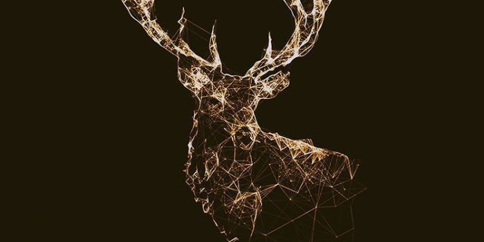 750x1334 Deer iPhone Wallpapers - Top Free Deer iPhone Backgrounds