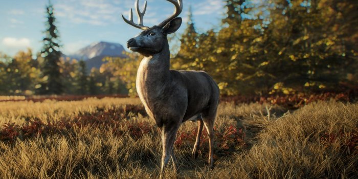 2048x1536 The Hunter: Call of the Wind - Deer HD wallpaper download