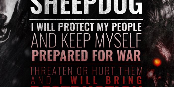 2000x2000 47+ Sheepdog Police Wallpapers on WallpaperPlay