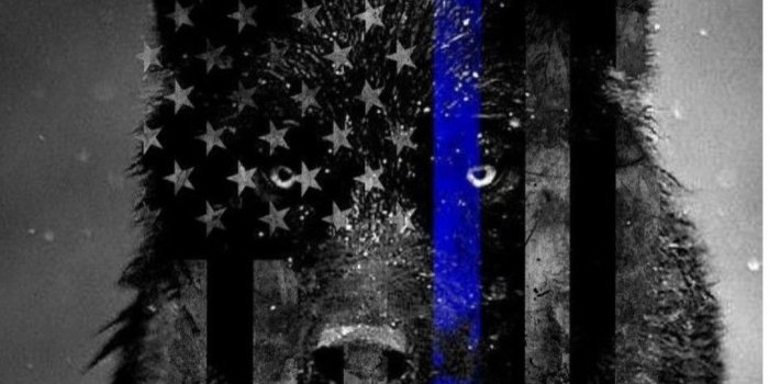1080x1306 policequotes (With images) | Thin blue line wallpaper, Police