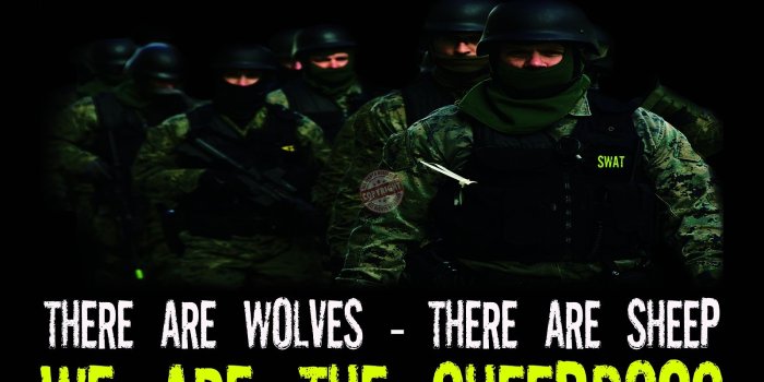 1600x1200 45+] Sheepdog Police Wallpaper on WallpaperSafari