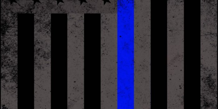 1080x1920 Free download 47 Sheepdog Police Wallpapers on WallpaperPlay