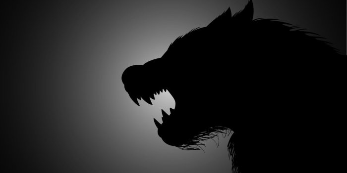 1600x950 A Time for Wolves • The Havok Journal