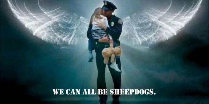 1280x720 The Sheepdog