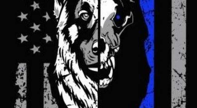 640x1280 Sheepwolves wallpaper by Kaosmoker - 43 - Free on ZEDGE™