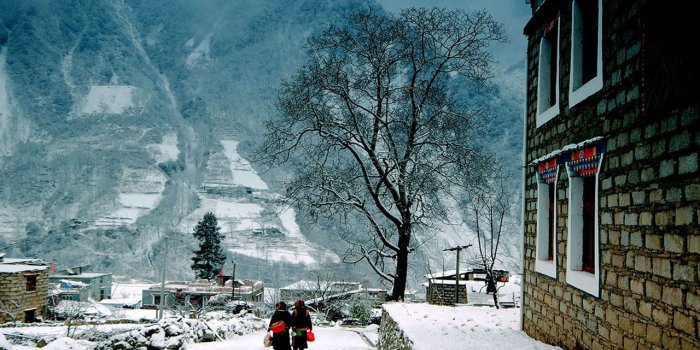 1280x800 50+] National Geographic Christmas Wallpaper on WallpaperSafari